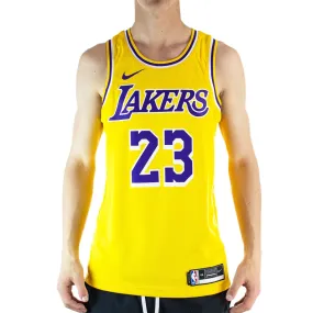 Nike Los Angeles Lakers NBA Icon Edition #23 Lebron James Swingman Jersey Trikot CW3669-734 - gelb-lila